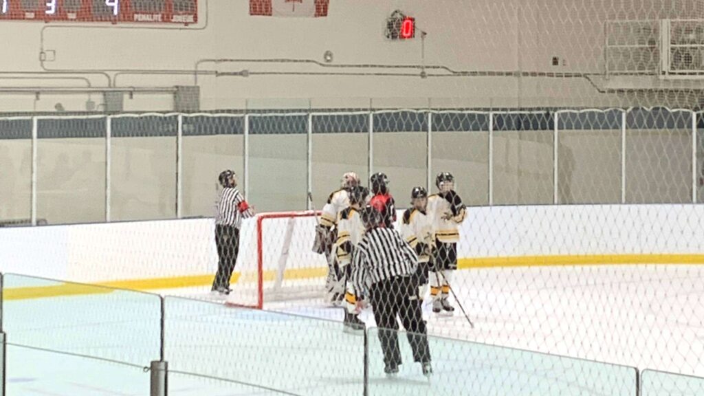 Shot of ref skating over to hockey goal.
